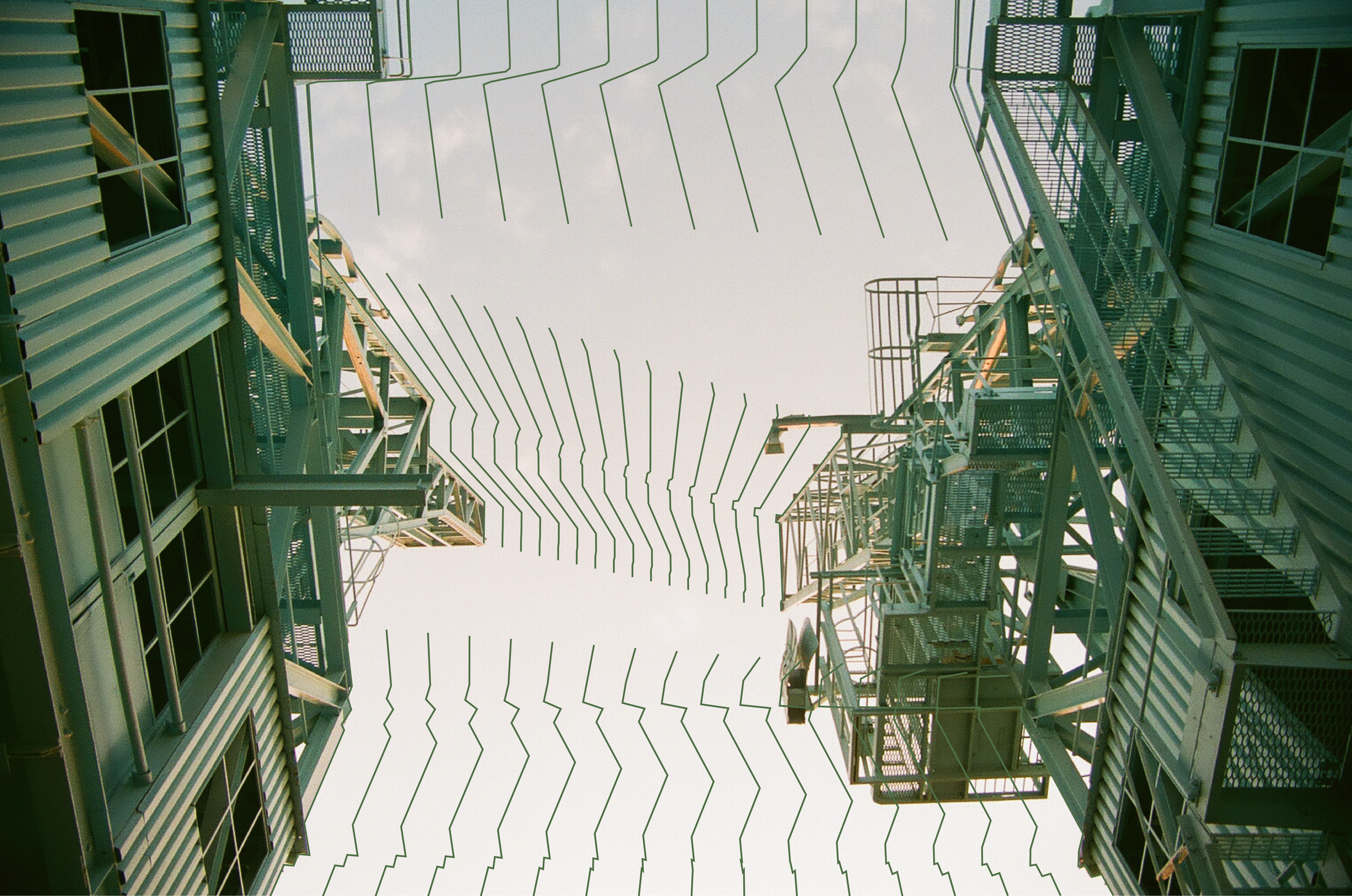 Photography by Tai Disla